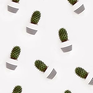 Meet your Posher, Norah